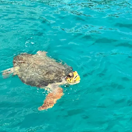 Valentino & Hotel de apartamente 4*